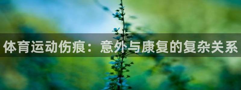 光速体育看NBA和cBA的软件：体育运动伤痕：意外与康复的复杂关系